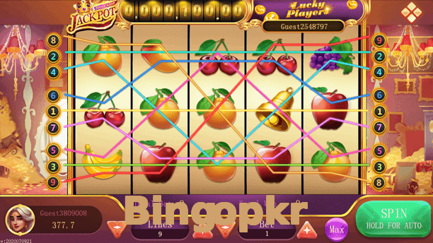 Bingopkr